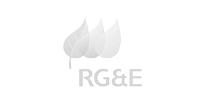 nyseg